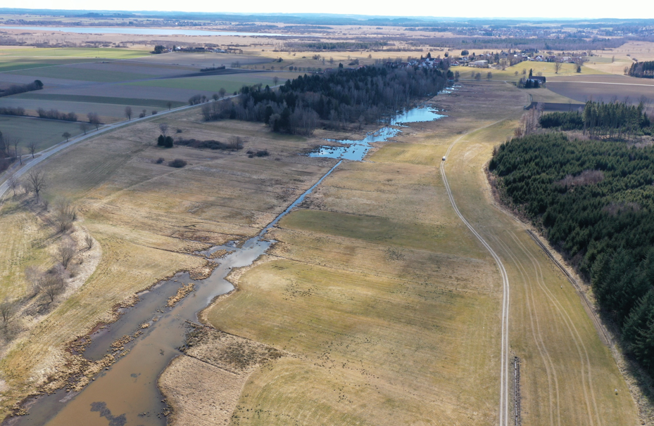 Das Foto zeigt das Betzenweiler Ried von oben