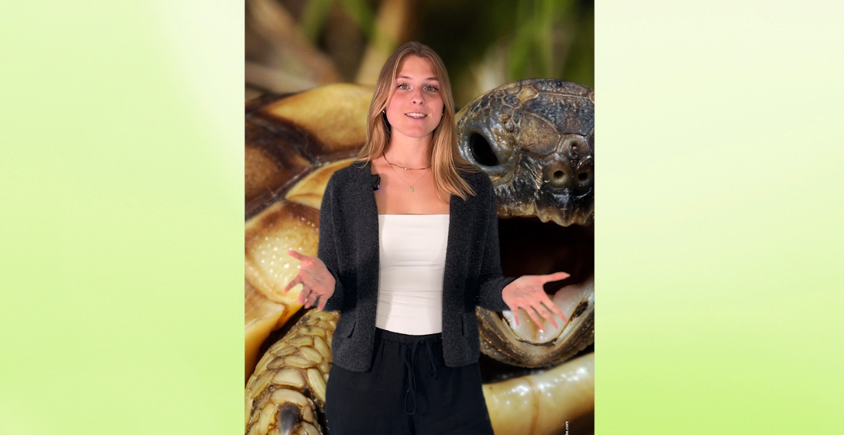 Eine Frau blickt in die Kamera, im Hintergrund sieht man eine Schildkröte.