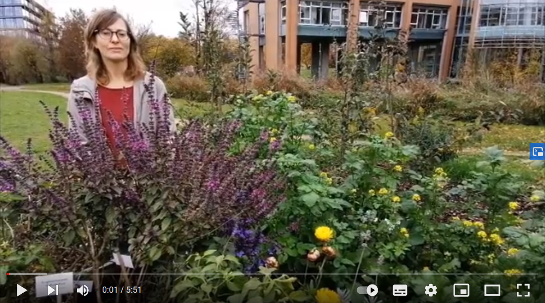 Die Biodiversitätsberaterin Hannah weniger steht hinter einem blühenden Gartenbeet, im Hintergrund das Gebäude des Regierungspräsidiums Tübingen