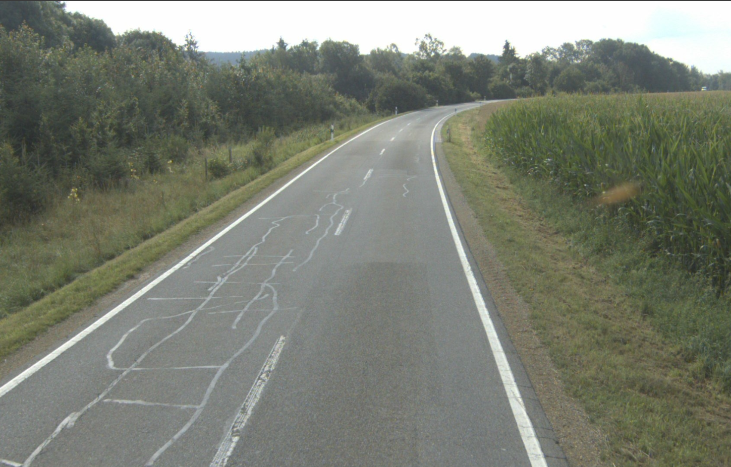 Das Foto zeigt die Landesstraße 306 zwischen Ingoldingen und Unteressendorf. Rechts und links von der Straße ist eine Wiese zu sehen.