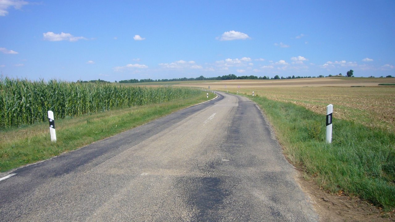 Blick auf die L 240 mit Leitpfosten; links von der Straße ein Maisfeld und rechts davon ein geerntetes Feld; leicht bewölkter blauer Himmel