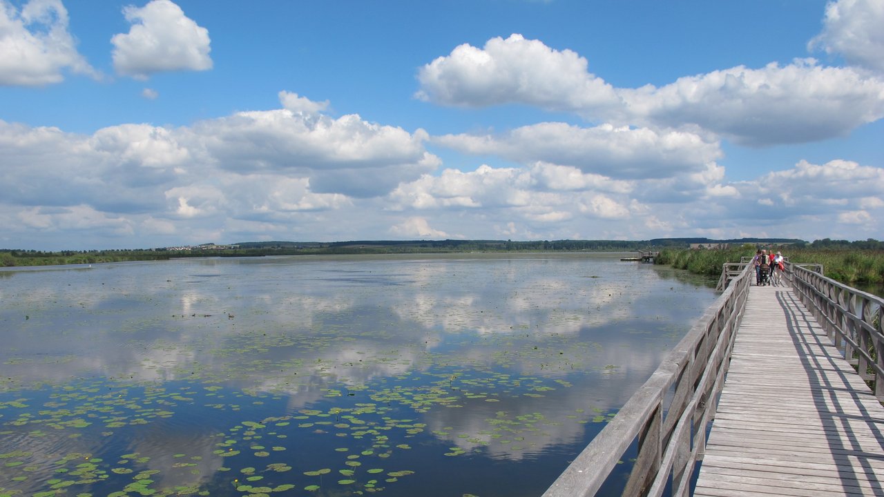 Blick auf den Federsee und einen Steg vom Ufer aus