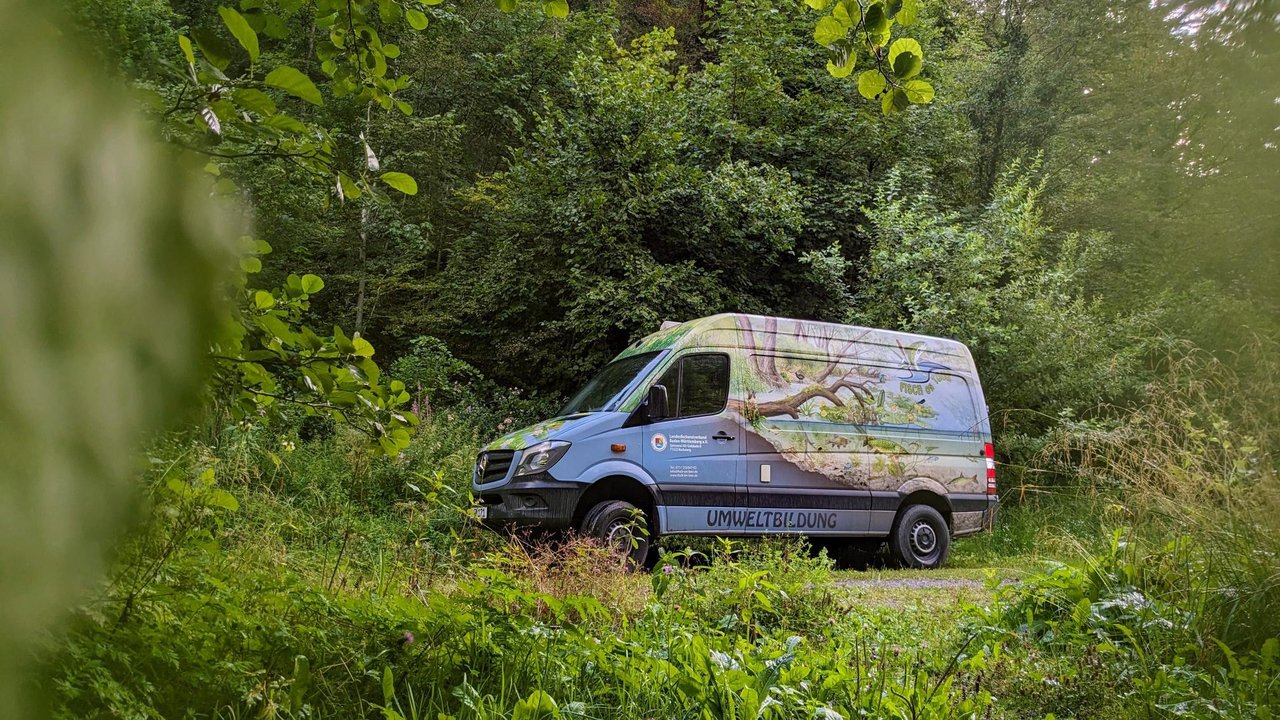 Das Foto zeigt das Fischmobil im Wald umgeben von Gebüsch.