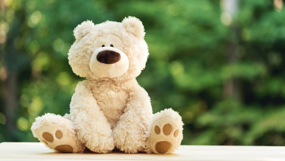 Teddybär sitzt vor grünem Hintergrund Teddybär sitzt vor grünem Hintergrund