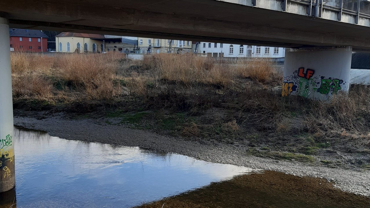 Das Bild zeigt das Neckarwehr in Mittelstadt mit Sicht auf die Brücke.