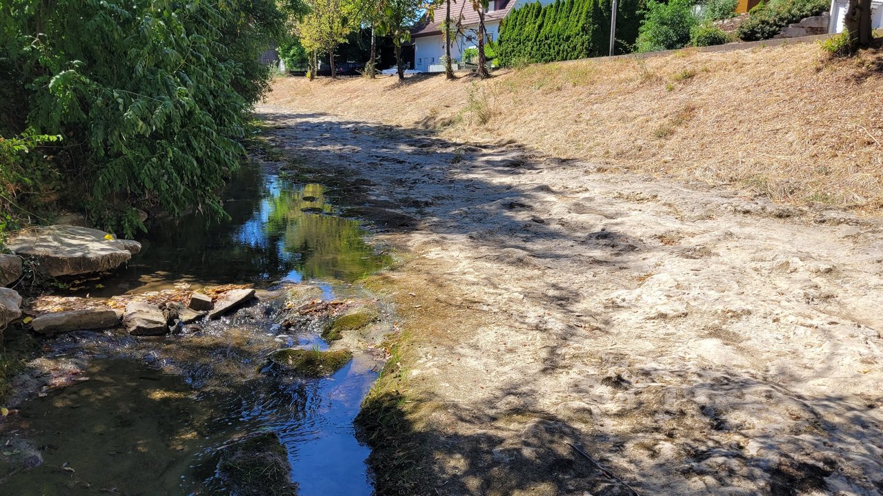 Das Foto zeigt die Steinlach in Ofterdingen bei Niedrigwasser