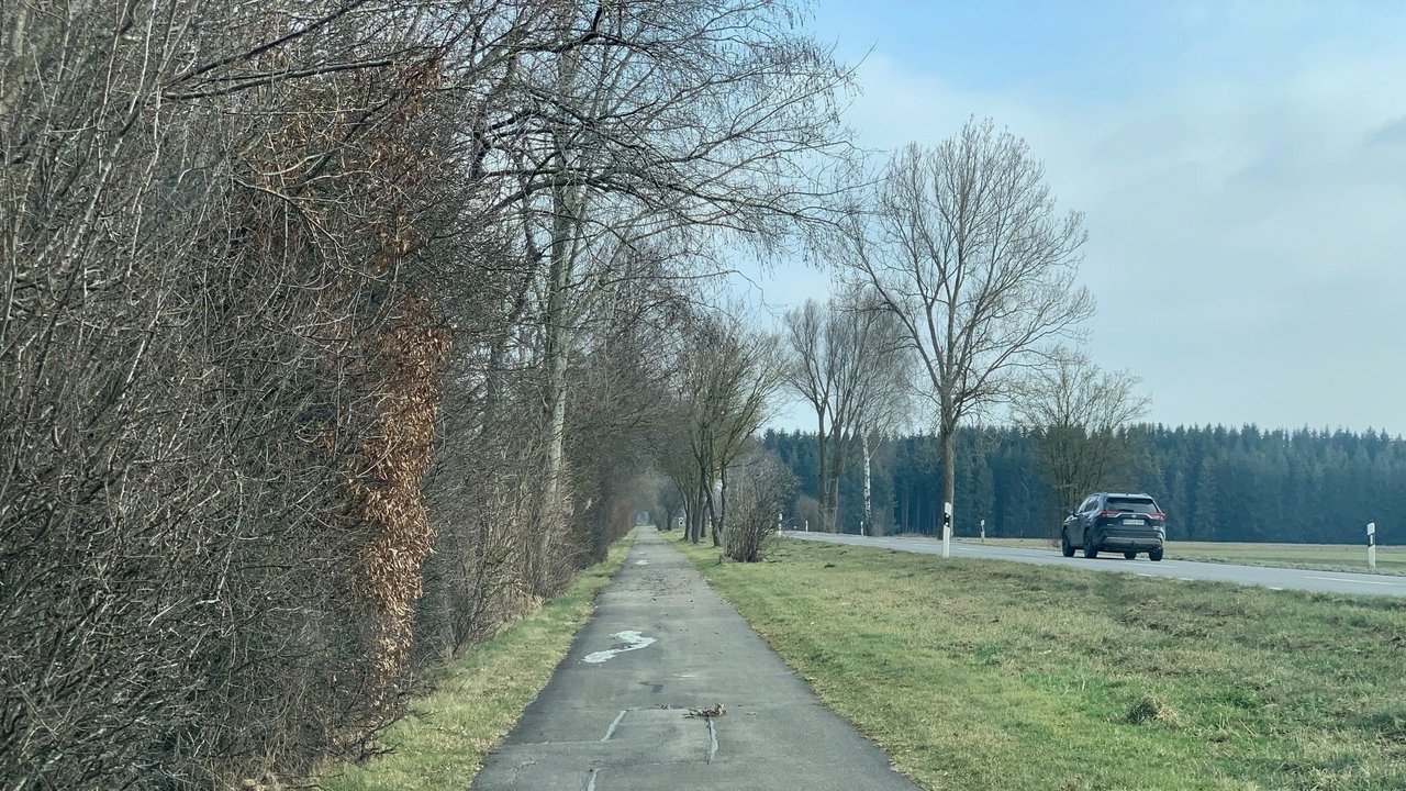 Das Bild zeigt eine schadhafte Straße an der links entlang ein schadhafter Radweg führt. Es befindet sich ein Auto auf der Fahrbahn. Links und im Hintergrund Wald