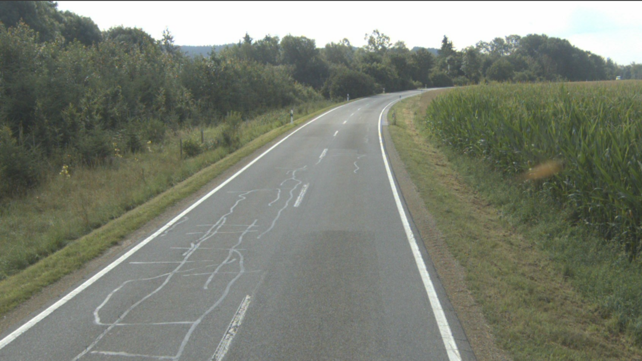 Das Foto zeigt die Landesstraße 306 zwischen Ingoldingen und Unteressendorf. Rechts und links von der Straße ist eine Wiese zu sehen.
