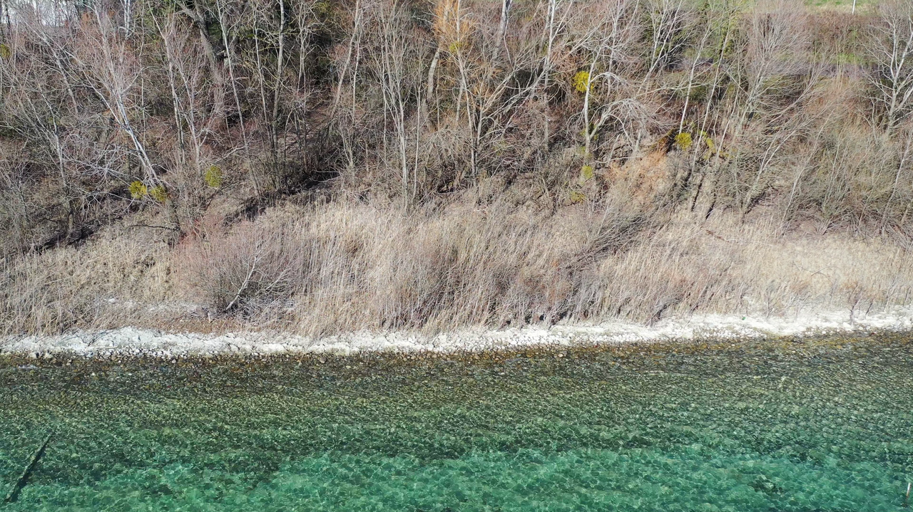 Das Foto zeigt ein natürliches Bodenseeufer in Sipplingen