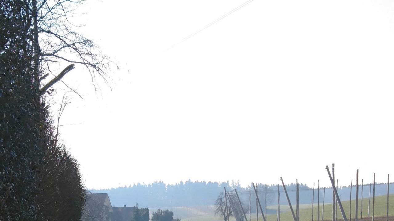 Das Bild zeigt die L 335; links ein Feldweg und einige Wohnhäuser; rechts Gemüseanbau