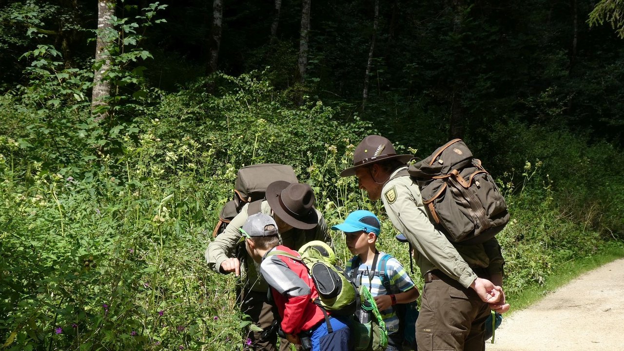 Das Foto zeigt zwei Ranger und 2 Kinder im Wald auf Erkundungstour