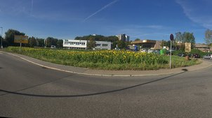Eine Straße vor einem Sonnenblumenfeld
