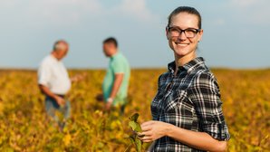 Junge Landwirtin prüft die Qualität vor der Ernte Junge Landwirtin prüft die Qualität vor der Ernte