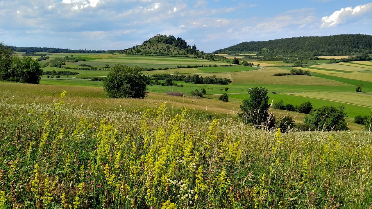 Blick von den Bühlbergen auf den Kornbühl mit der Salmendinger Kapelle Blick von den Bühlbergen auf den Kornbühl mit der Salmendinger Kapelle