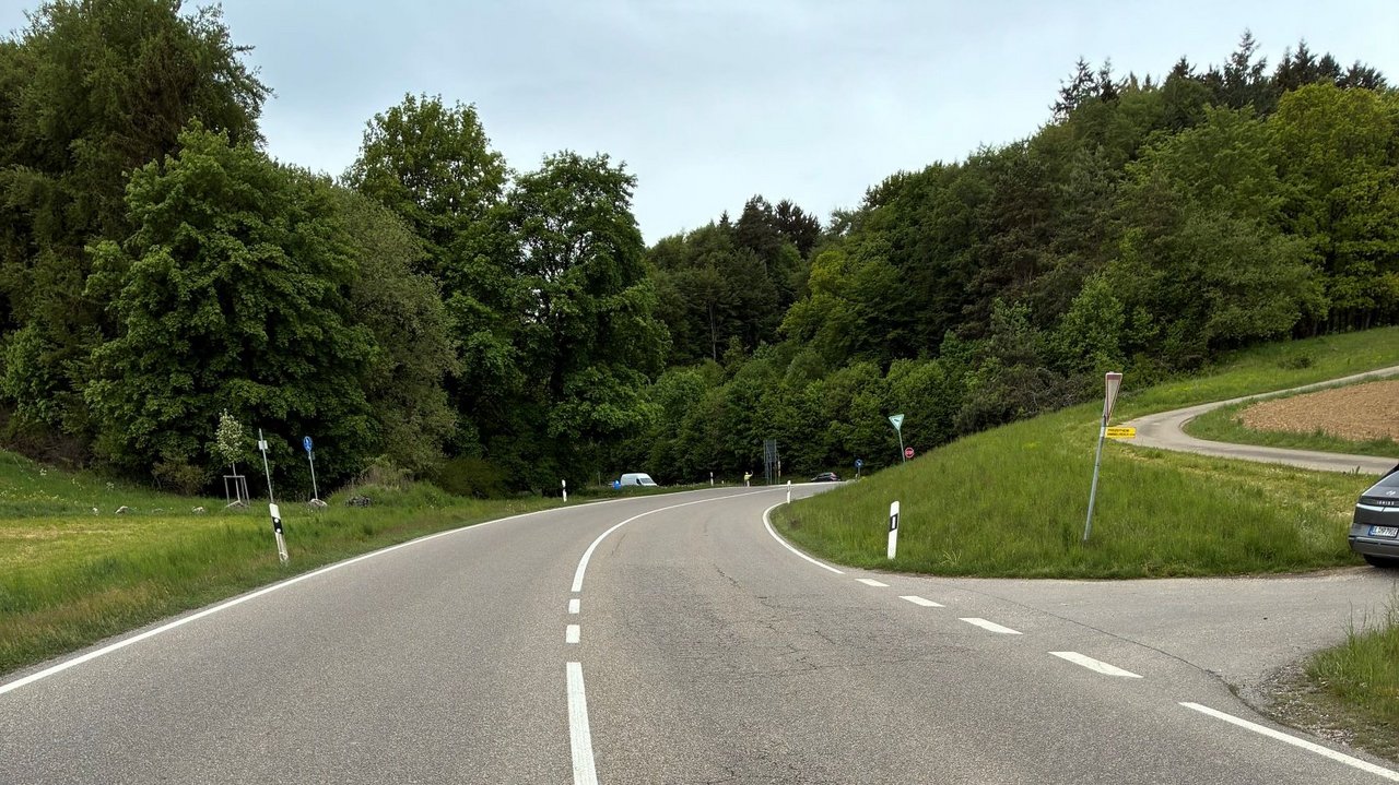 Das Bild zeigt eine Straße mit Fahrbahnmarkierung- im Hintergrund ist ein Wald.