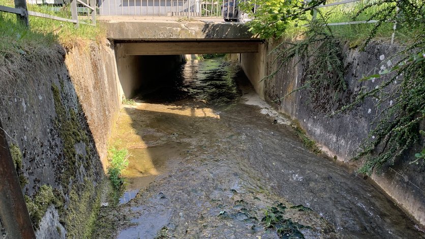 Sicht auf eine Straßenbrücke aus dem Bachbett heraus. Die Brücke überspannt den Bach in ca. 2 Metern höhe für circa 3 Meter Strecke.