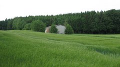 Ein Feld mit einer Scheune, im Hintergrund Wald