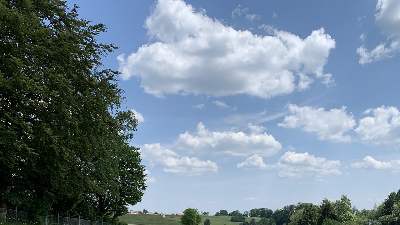 Blick auf eine Landstraße, die von Gründstreifen umgeben sind.