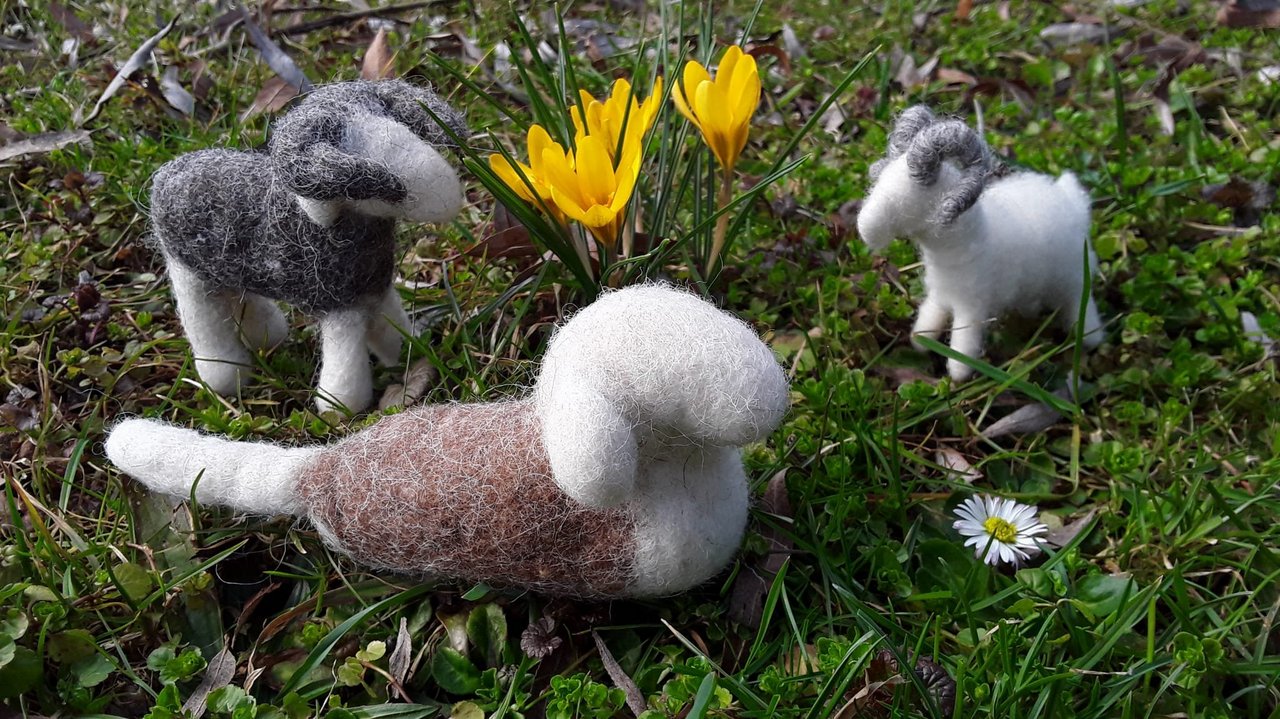Das Foto zeigt drei gefilzte Schafe auf einer blühenden Frühlingswiese
