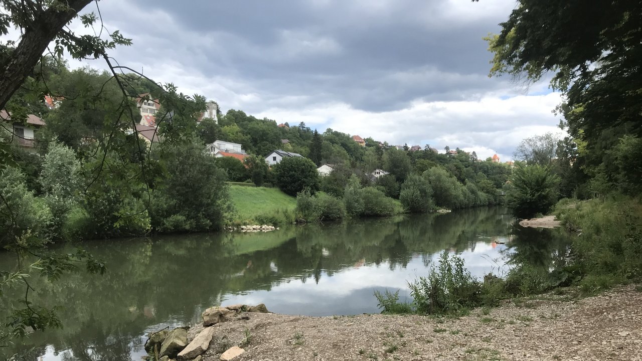 Blick auf den Fluss Neckar. Man sieht eine Kiesinsel im Vordergrund mit Blick auf den neckar, im Hintergrund sieht man das andere Ufer mit Wohnbebauung.