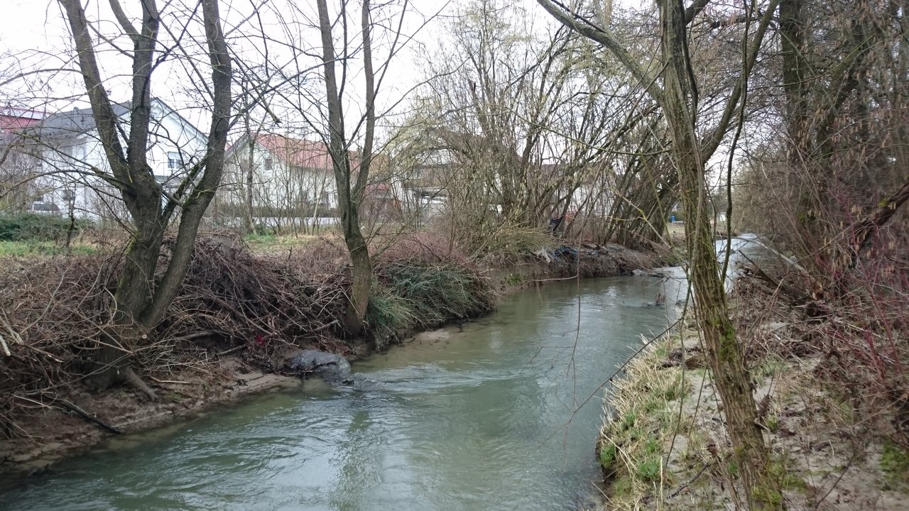 Man sieht einen schmalen Fluß, umgeben von Bäumen am Ufer