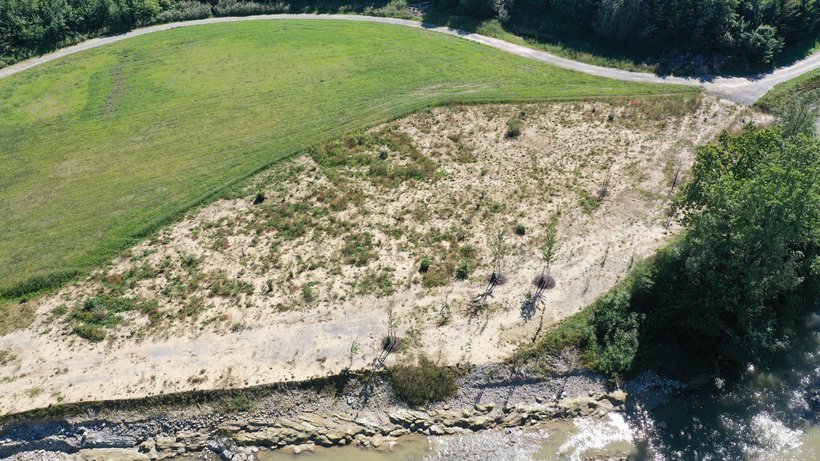 Kiesfläche mit Pflanzenbewuchs