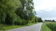 Eine Straße neben einem Feld und einer Baumgruppe