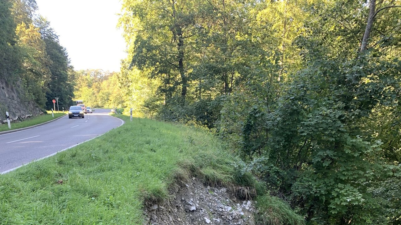 Das Foto zeigt rechts im Bild einen Hangrustch an der Gönninger Steige. Links oben sieht man die L 230