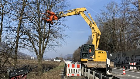 Ein Bagger, der mit einem Spezialwerkzeug Bäume neben einer Straße bearbeitet.
