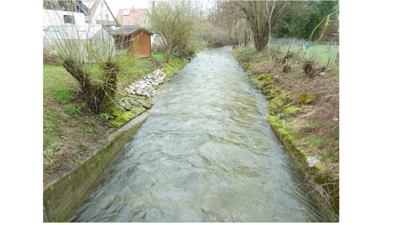 Gewässerrandstreifen mit nicht erwünschten baulichen Anlagen wie Gewächshaus, Gartenhütte, Kompost und Zaun.