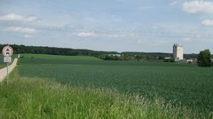 Ein Feld
