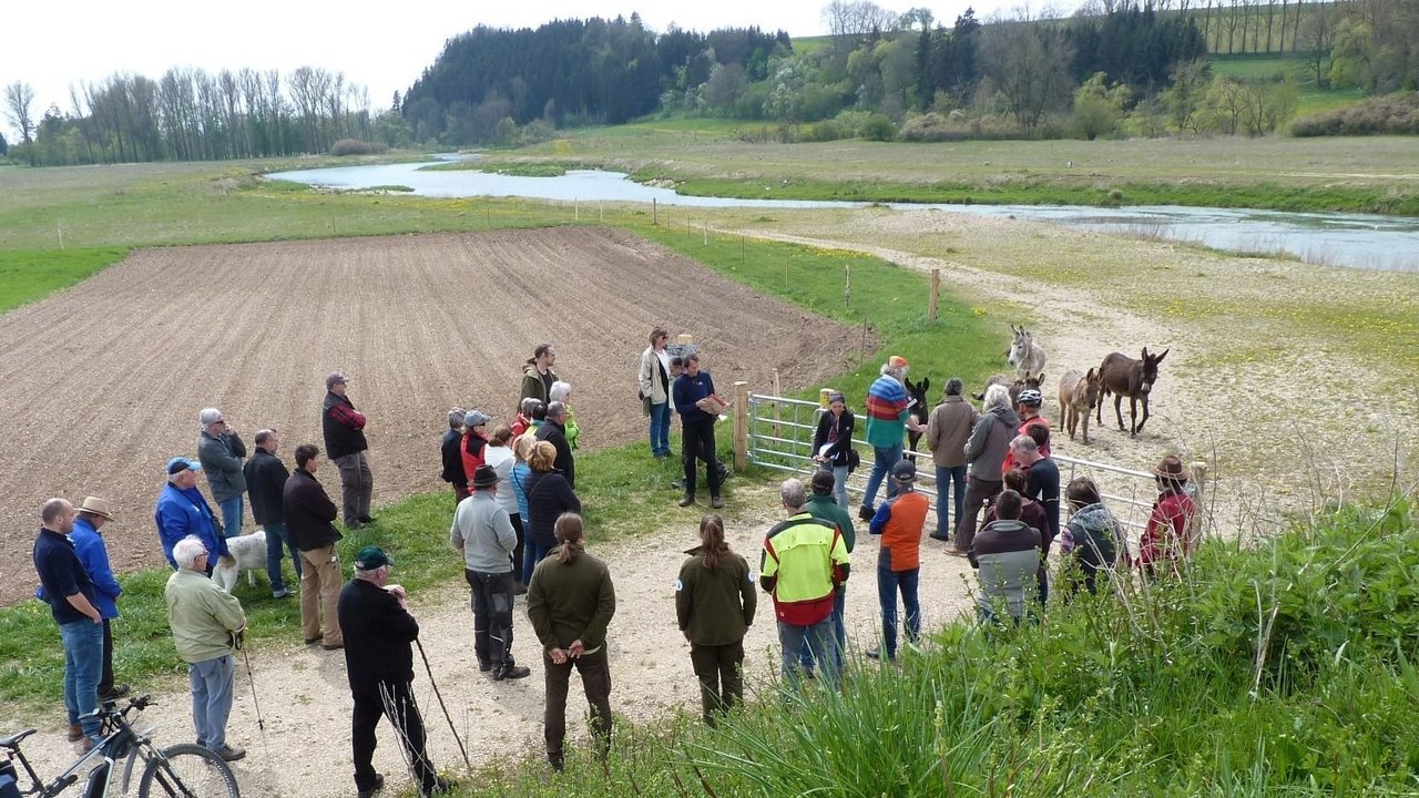 Informationsveranstaltung am 29.04.2022; Das Bild zeigt die Teilnehmenden der Veranstaltung und ein paar Esel an der Donau 