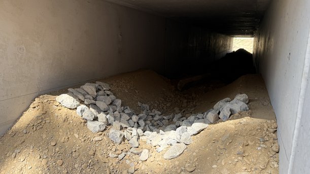 Blick in eine Viereckige Röhre, deren Wände und Decke aus Beton sind, der Bodern aus Erde. Am Anfang der Röhre ist die Erde mit losen Steinen bedeckt. 
