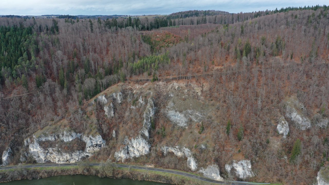 Freigestellter Felskomplex bei Thiergarten Das Foto zeigt eine felsige und bewaldete Landschaft