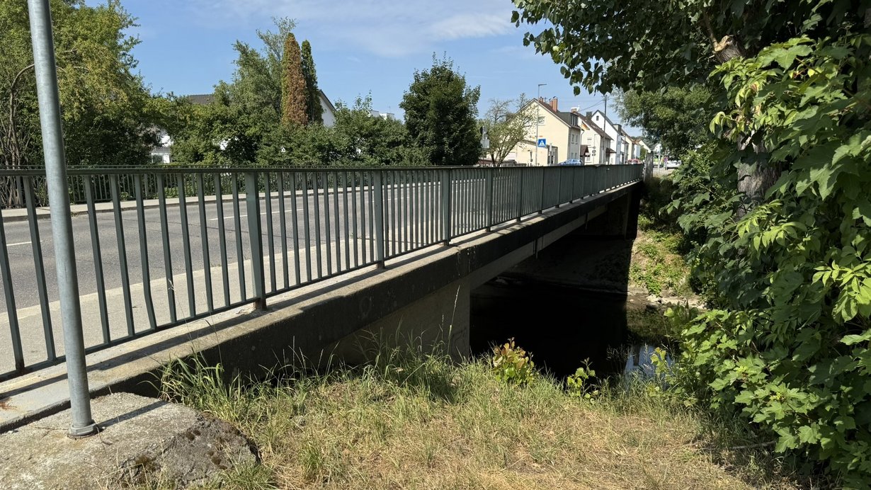 Foto einer Straßenbrücke, vom Kopf der Brücke halb seitlich aufgenommen. Im Hintergrund sind Häuser erkennbar. 