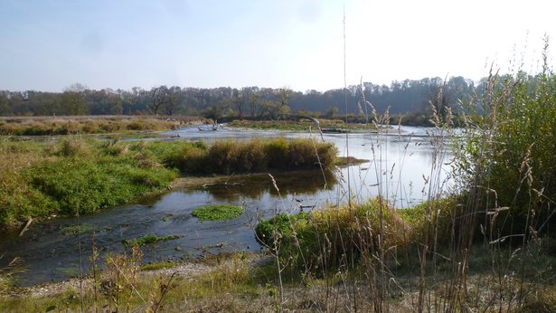 Renaturierungsmaßnahme Ober-Untermarchtal Gewann Ebene