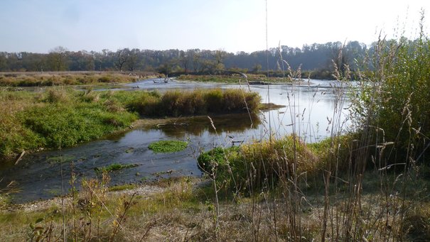 Renaturierungsmaßnahme Ober-Untermarchtal Gewann Ebene