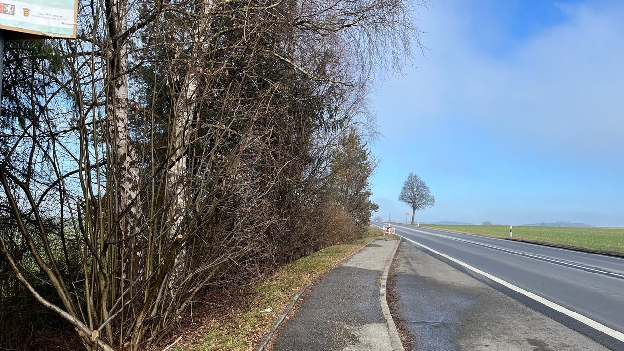 Das Foto zeigt die alte Bushaltebucht an der B 30 bei Enzisreute; links ein Waldstück