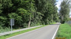 Straße neben einem Wald