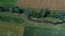 Eine Flussaue von oben