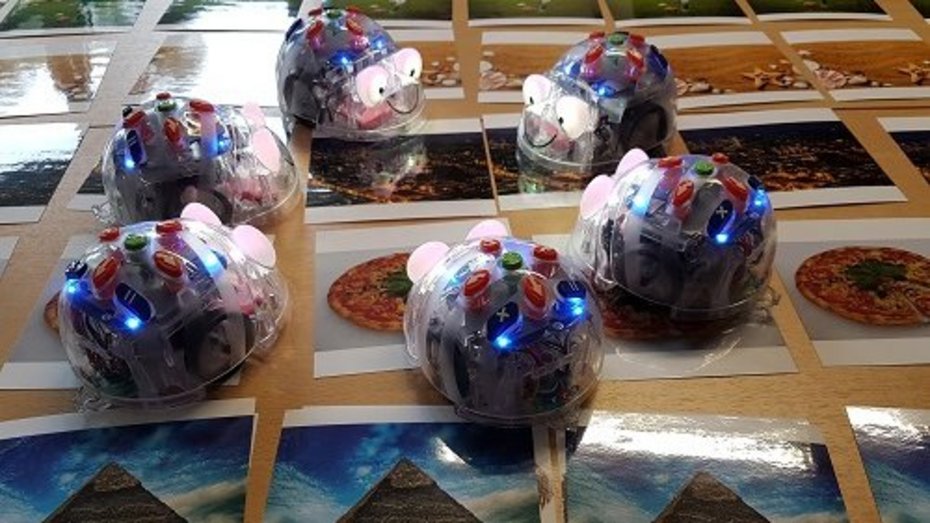 BlueBots in der Bibliothek
