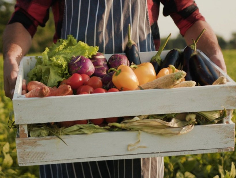 Gemüsekiste