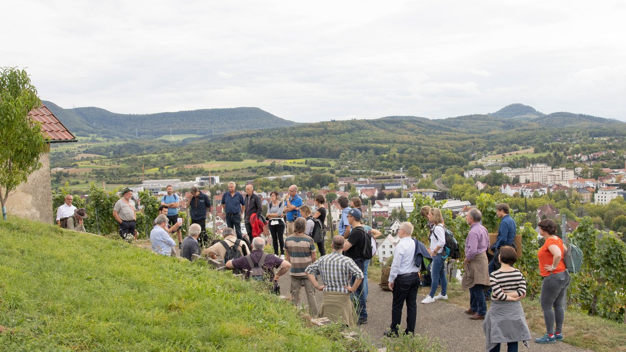 Menschengruppe bei einer geführten Wanderung durch die Metzinger Weinberge