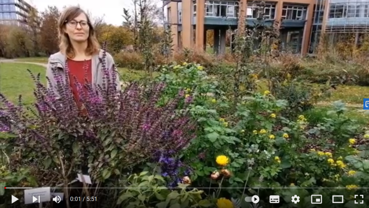 Die Biodiversitätsberaterin Hannah weniger steht hinter einem blühenden Gartenbeet, im Hintergrund das Gebäude des Regierungspräsidiums Tübingen