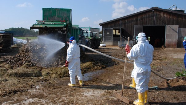 Zwei personen in Schutzanzügen desinfizieren einen Misthaufen