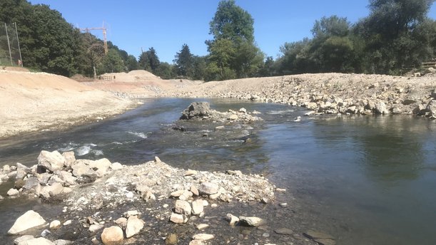 Kiesflächen entlang des Neckars