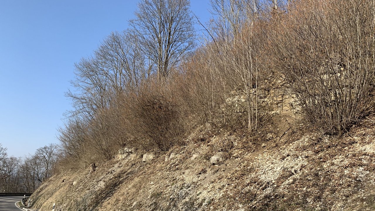 Das Bild zeigt ein Teilstück der Talheimer Steige vor einer Kurve; rechts von der Straße ein steiler Hang