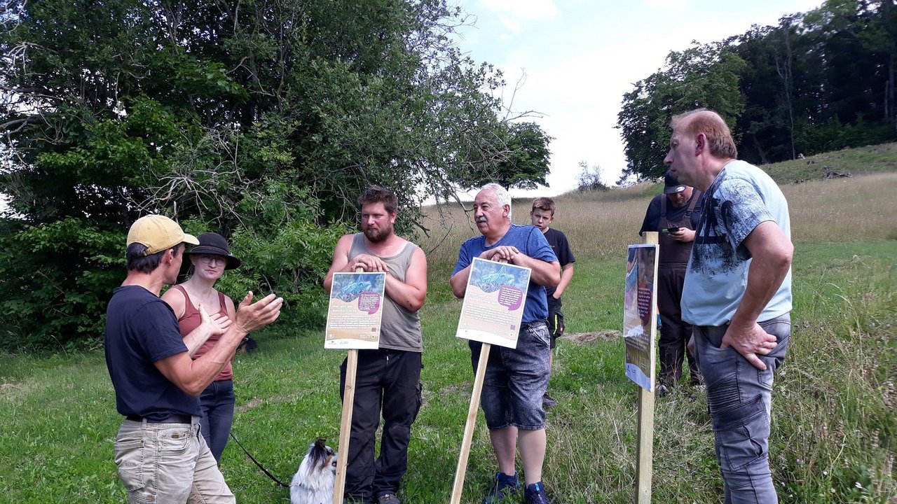 Exkursion anlässlich der Aufstellung von Schildern die darüber informieren, dass die Wiesenstreifen zum Schutz der Wanstschrecke erst Mitte Juli gemäht werden. Dr. Rüdiger Jooß (Geschäftsstelle Biosphärengebiet Schwäbische Alb) erläutert den Eheleuten Röhner (Schäferei aus Gutenberg), Herrn Huttenlau (Landwirt aus Schopfloch) und Herrn Schilling (Landwirt aus Römerstein) das Projekt (von links nach rechts)