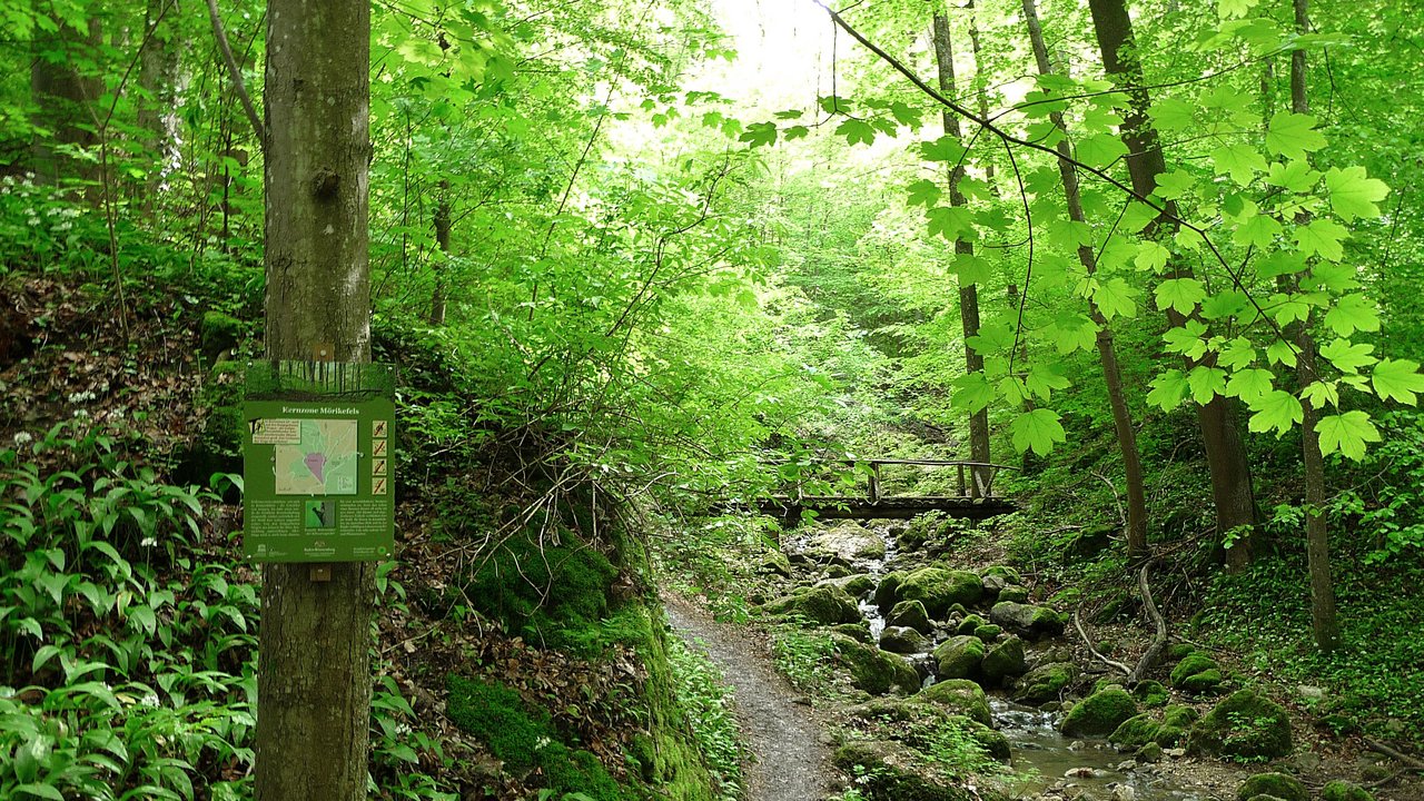 Mörikefels Mörikefels