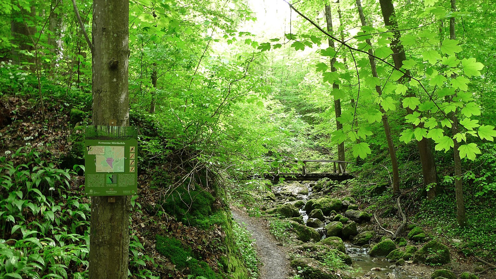 Mörikefels Mörikefels